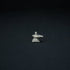 Shiva Lingam In Pure Silver 10 grams
